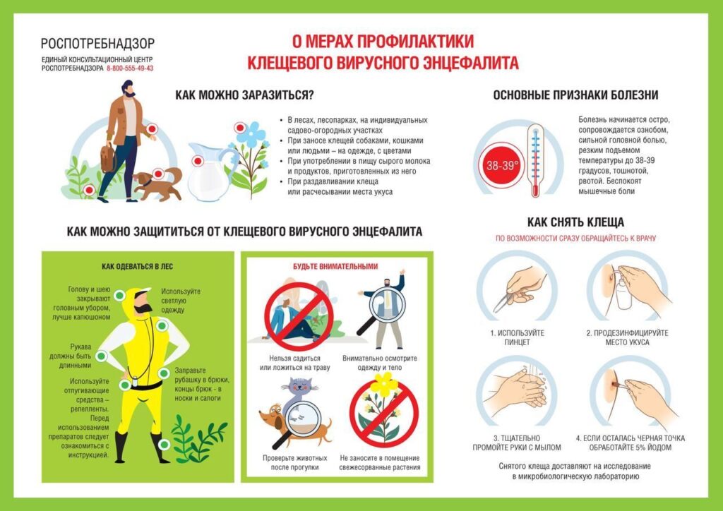 О мерах профилактики клещевого вирусного инцефалита